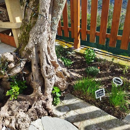 Amphiorama Villa La Spezia Dış mekan fotoğraf